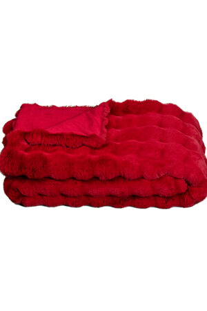 40162 Cosy rot 2