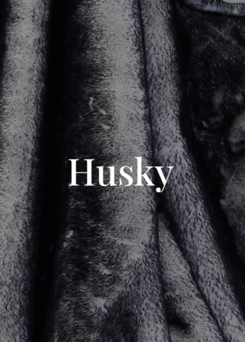 Husky