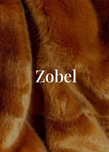 Zobel