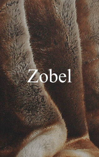 Zobel